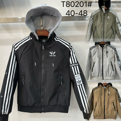 Куртка (демисезонная) L 80201